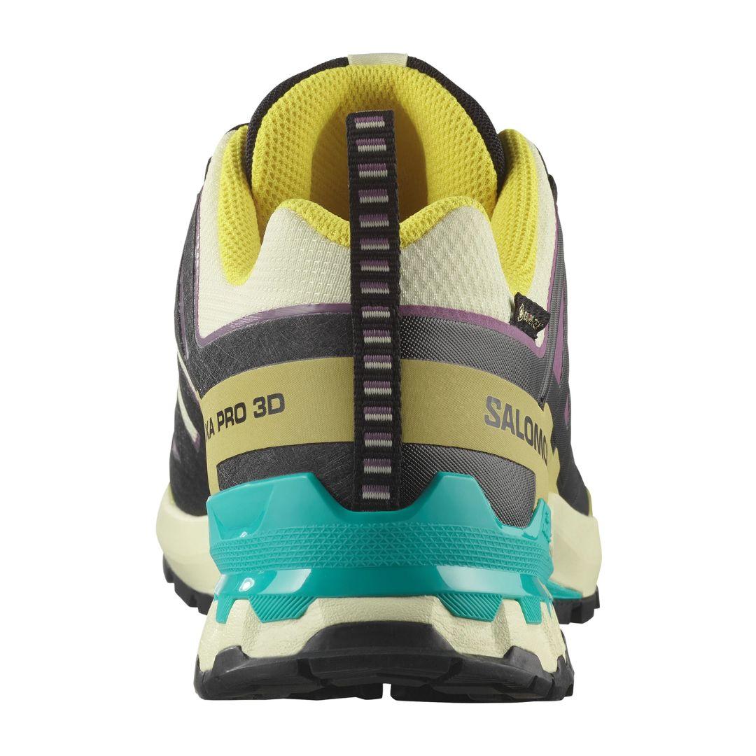 Salomon Men's XA Pro 3D V9 Gore-Tex Trail Running Shoes